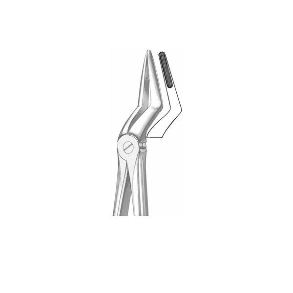 Extracting Forceps English Pattern