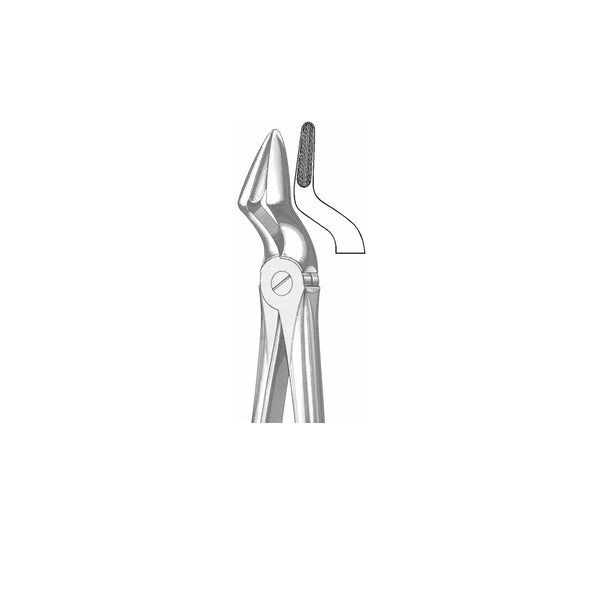 Extracting Forceps English Pattern