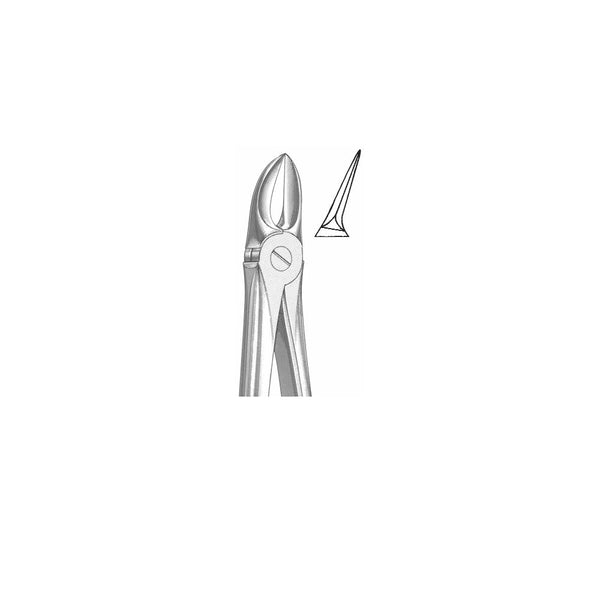 Extracting Forceps English Pattern