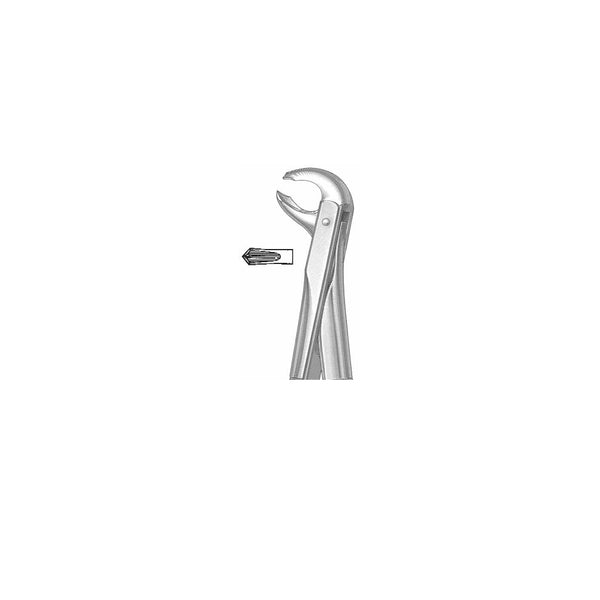 Extracting Forceps English Pattern