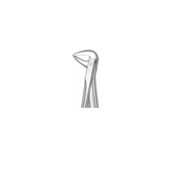 Extracting Forceps English Pattern