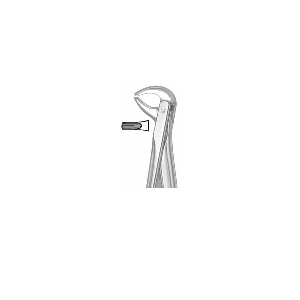 Extracting Forceps English Pattern