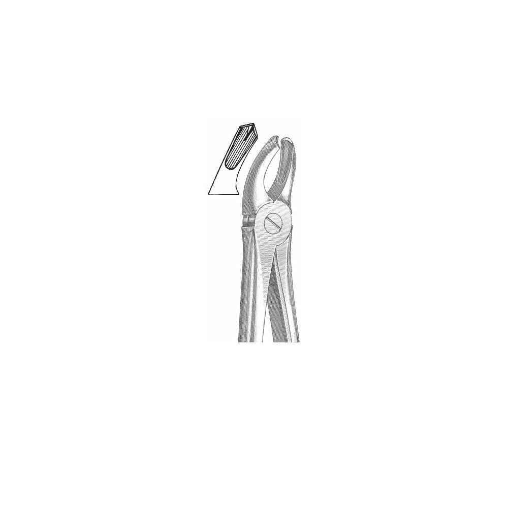 Extracting Forceps English Pattern