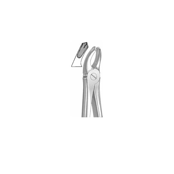 Extracting Forceps English Pattern