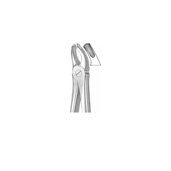 Extracting Forceps English Pattern