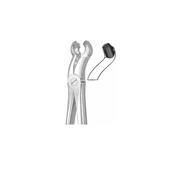 Extracting Forceps English Pattern