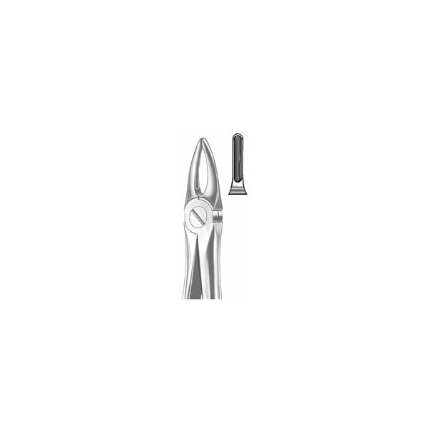Extracting Forceps English Pattern