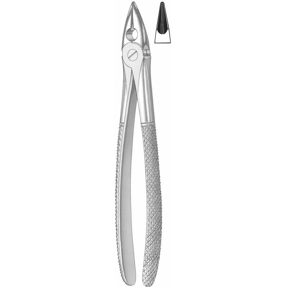 Extracting Forceps English Pattern
