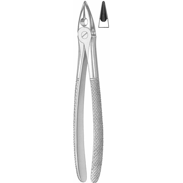 Extracting Forceps English Pattern
