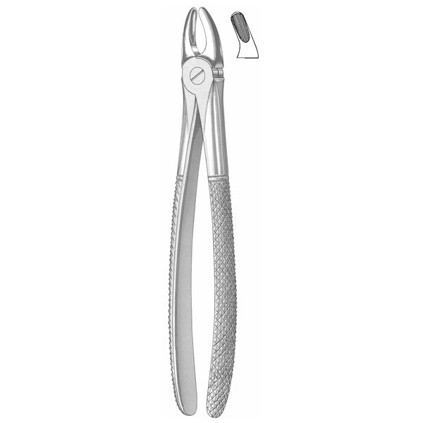 Extracting Forceps English Pattern